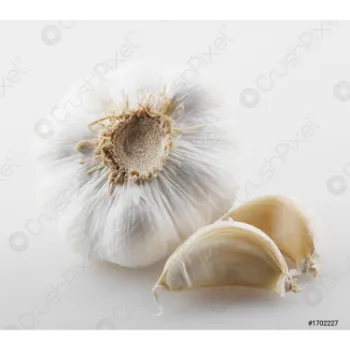 Fresh Garlic 